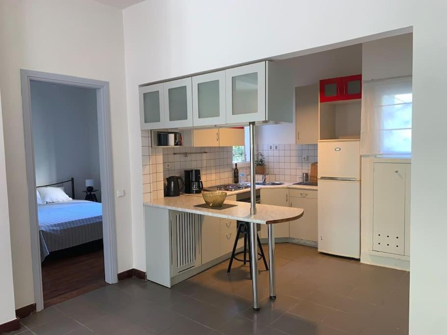 Acropolis Apartment 아테네 외부 사진